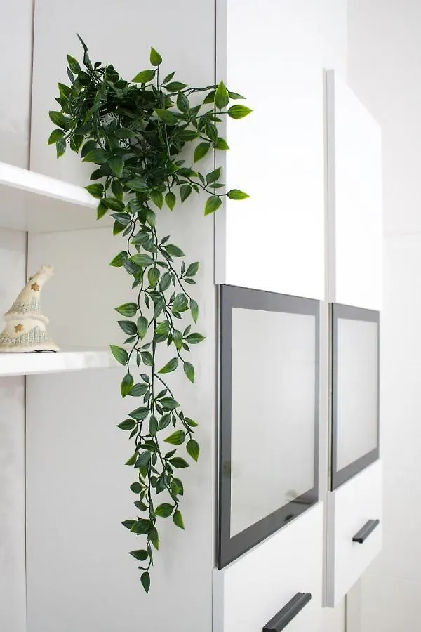 White Orchid Pula Διαμέρισμα